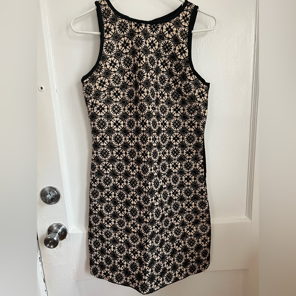 Max studio knee length dress